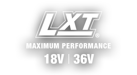 LXT Logo