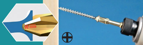 close up of philips bit
