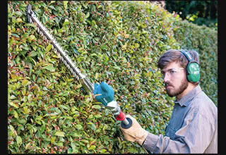 Hedge Trimmers