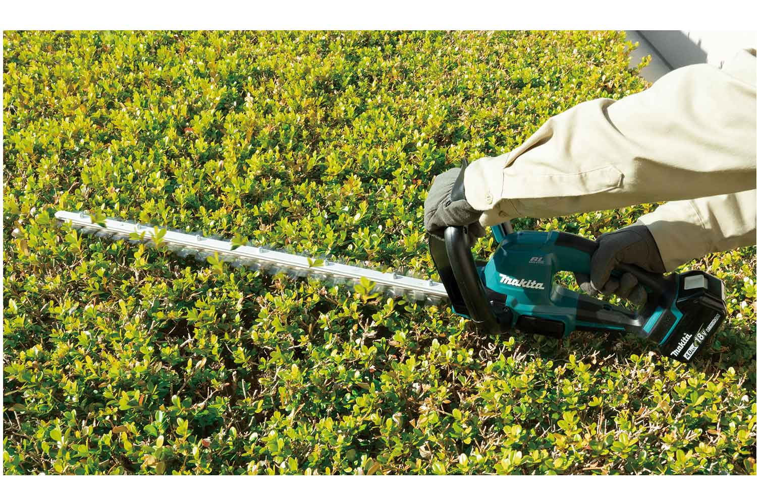 Makita Product Details DUH606Z 18V LXT Brushless 600mm Hedge Trimmer