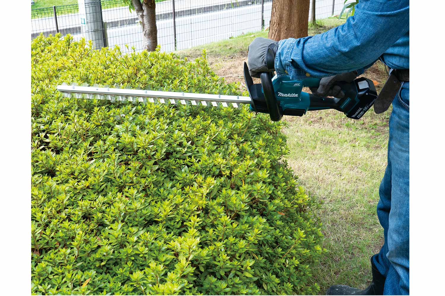 Makita Product Details DUH606Z 18V LXT Brushless 600mm Hedge Trimmer